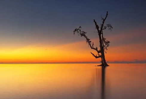 1693084332916835.png image.png