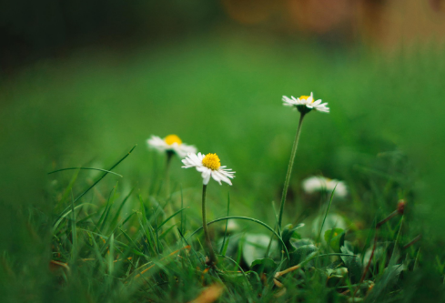 1693090143140300.png image.png