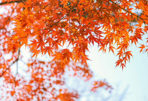 1693091140816528.png image.png