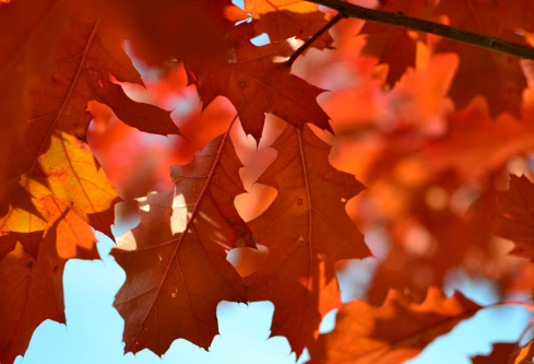 1693098441423174.png image.png