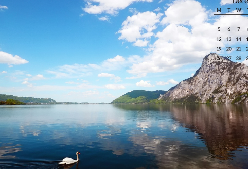 1693098773227207.png image.png