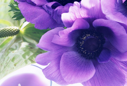 1693099934110410.png image.png