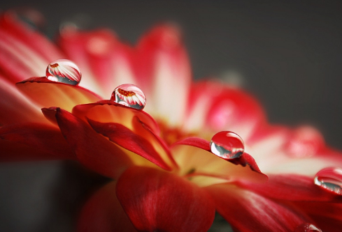 1693100266138523.png image.png