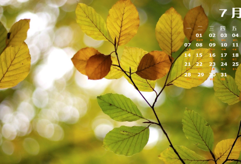 1693100929121366.png image.png