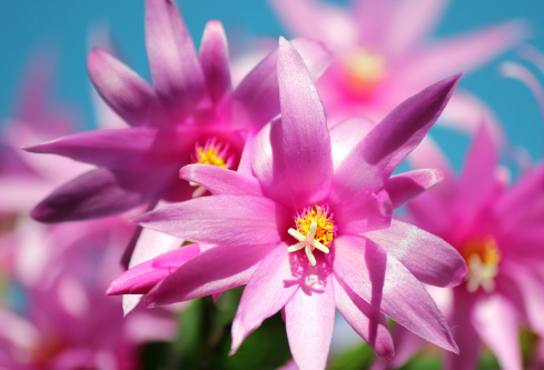 1693104580140541.png image.png