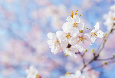 1693104745106426.png image.png