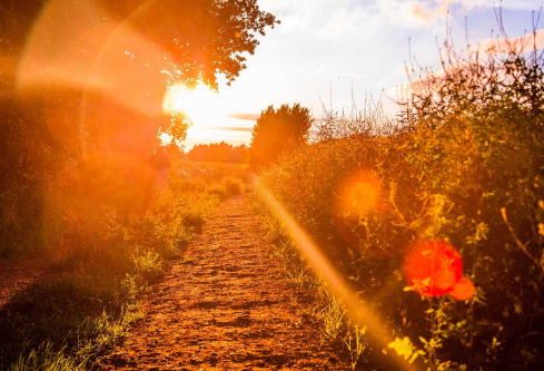 1693104912395203.png image.png