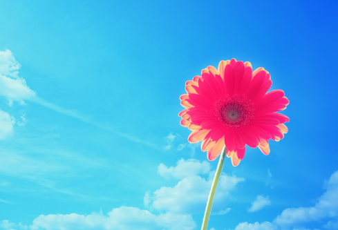 1693105078499986.png image.png