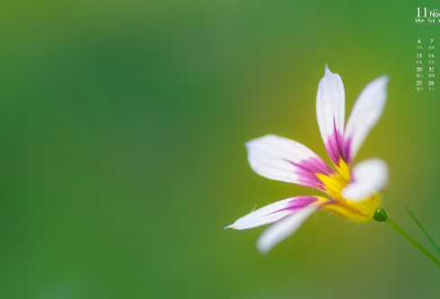 1693105243426014.png image.png