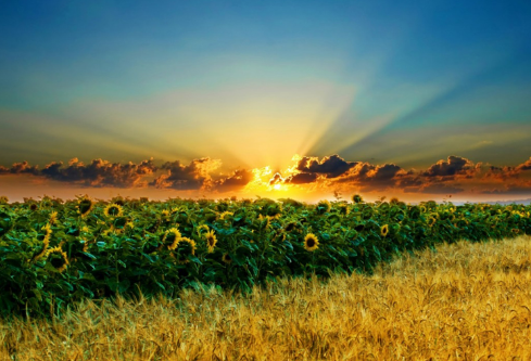 1693111386129022.png image.png