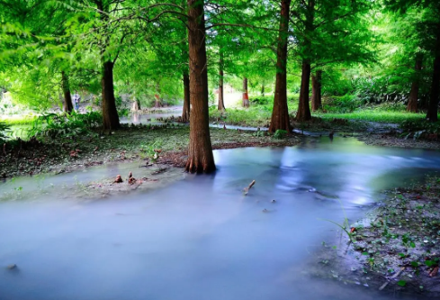 1693113885937232.png image.png