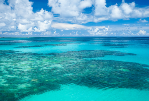 1693116043282245.png image.png