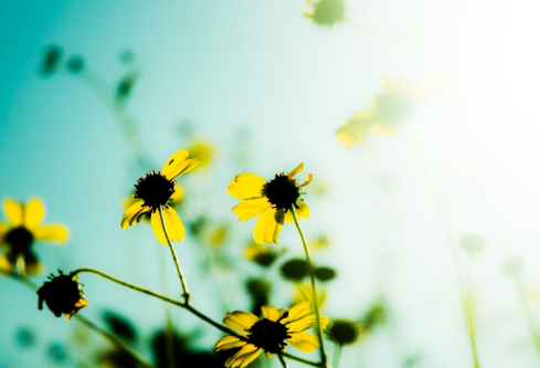 1693119031271831.png image.png