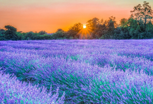 1693120026205433.png image.png