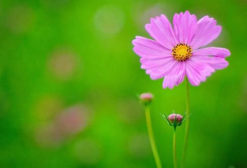 1693120855391072.png image.png