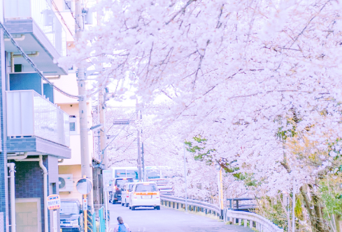 1693121354860506.png image.png