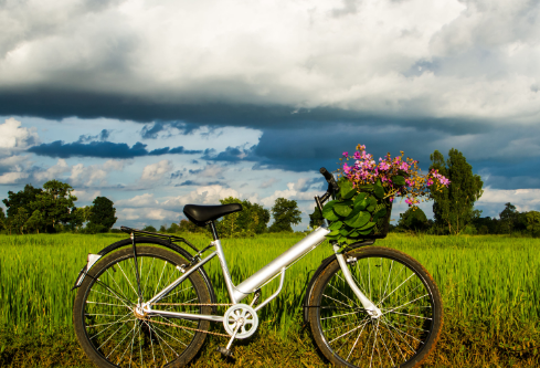 1693123843924193.png image.png