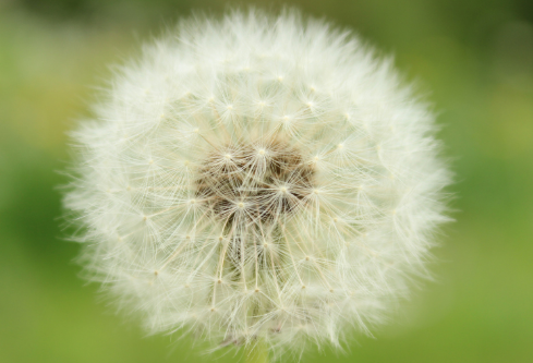 1693128322579379.png image.png