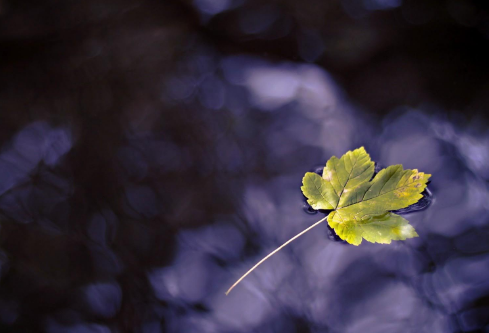 1693131474487033.png image.png