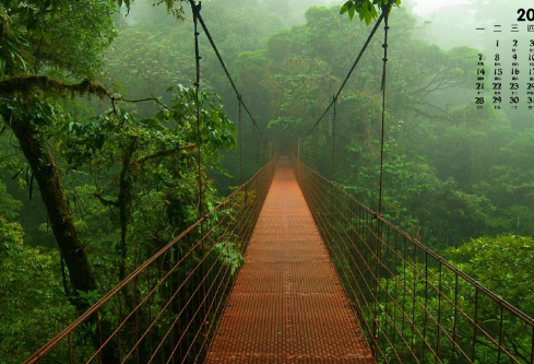 1693131972117554.png image.png