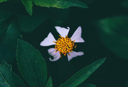 1693133465427434.png image.png