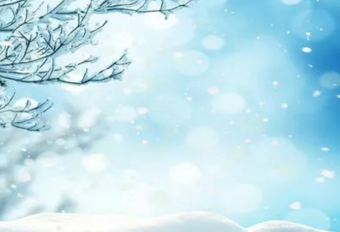 1693139281625940.png image.png