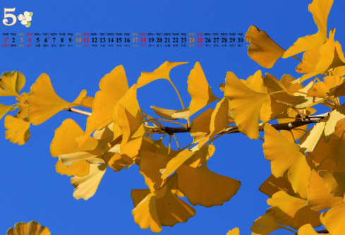 1693140443756584.png image.png