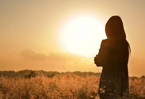 1716740776130304.png image.png