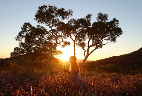 1716741108997863.png image.png