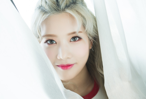 1716827536561995.png image.png