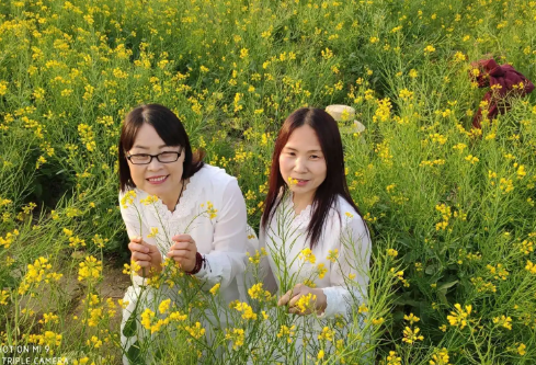 1716829365754691.png image.png