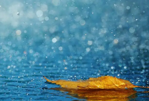 1717789348443227.png image.png