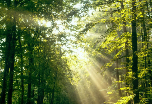 1717789515982415.png image.png