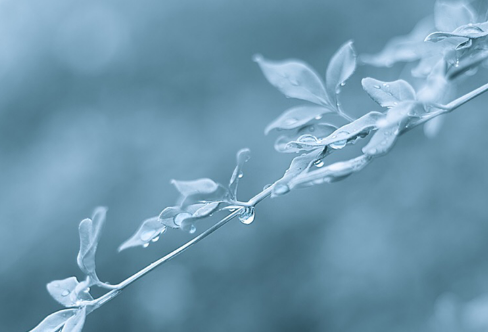 1717790182295111.png image.png