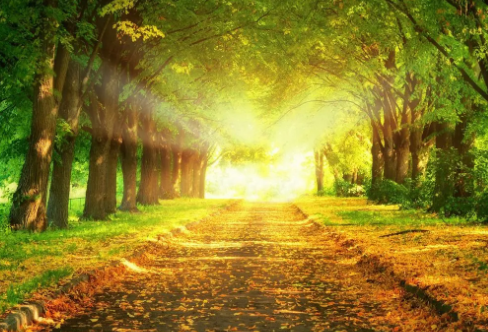 1717791518108177.png image.png