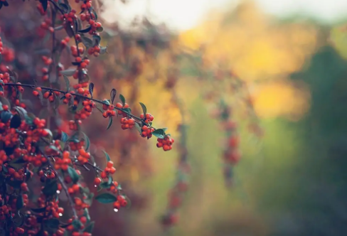 1717798026311076.png image.png