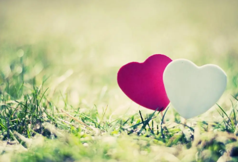 1717799862129362.png image.png