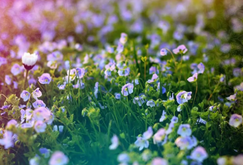 1717800196206896.png image.png