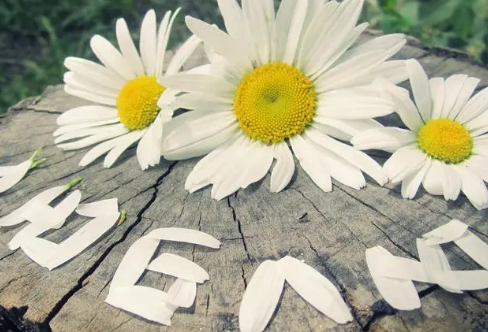 1717803034111013.png image.png