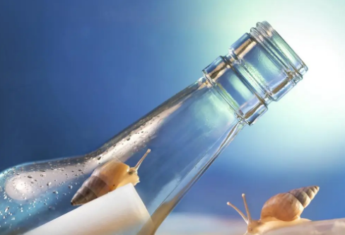 1717804370121831.png image.png