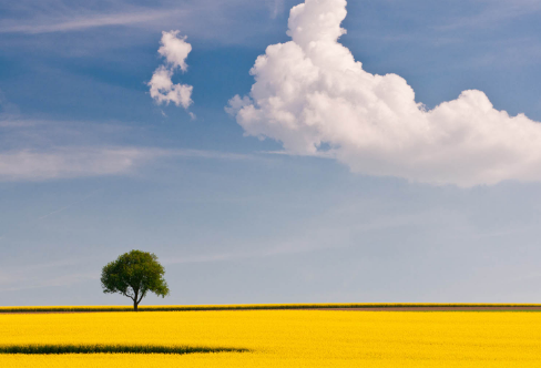 1717804703124275.png image.png