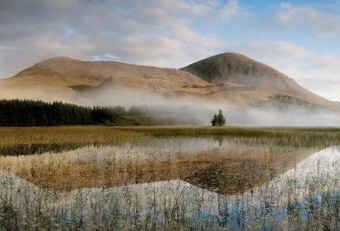 1717805872732960.png image.png