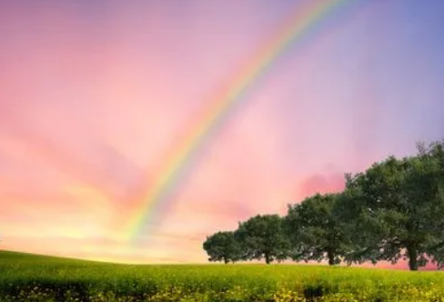 1717808042698405.png image.png