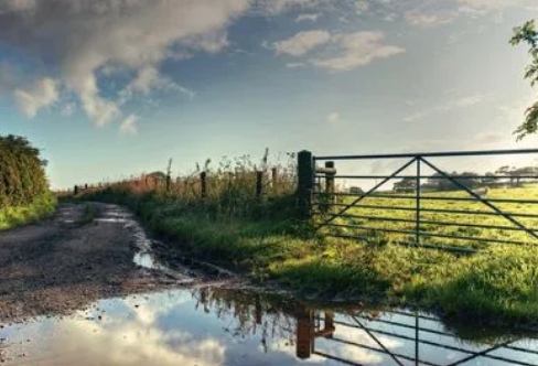 1717808543269508.png image.png