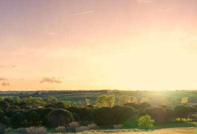 ​创业条幅标语