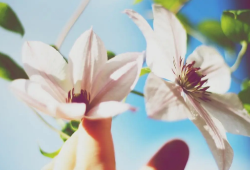 1717811548713251.png image.png