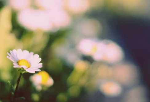 1717813385130532.png image.png