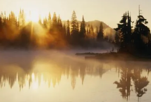 1717814219112162.png image.png