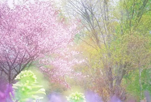 1717815555643109.png image.png