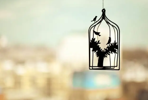 1717816223100289.png image.png